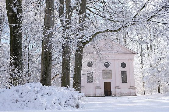 Dicker Schnee bedeckt in Klosterpark Altzella.