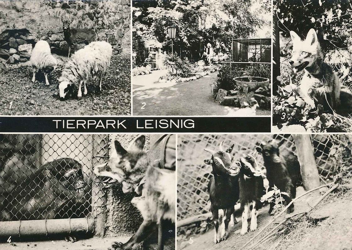 Ansichtskarte Tierpark Leisnig