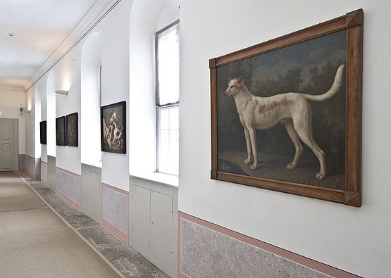 Blick in den Hundekorridor auf Schloss Weesenstein mit Gemälden von verschiedenen Hunden an den Wänden.