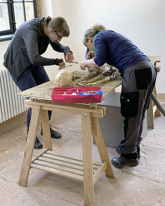 Zwei Restauratorinnen untersuchen das Mildensteiner Skelett.