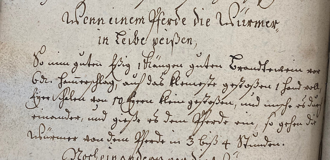 Arzneirezept Ein handschriftliches Rezept zur Behandlung von Pferden.